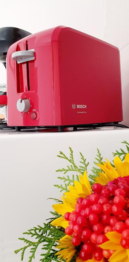 Art Studio Brasov Ngoại thất bức ảnh