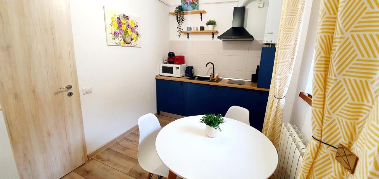 Art Studio Brasov Ngoại thất bức ảnh