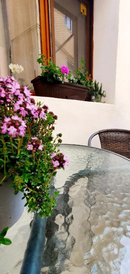 Art Studio Brasov Ngoại thất bức ảnh