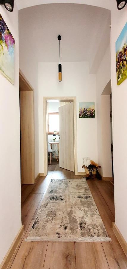 Art Studio Brasov Ngoại thất bức ảnh